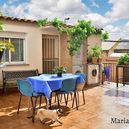 Comfortable Apartment In Caceres 55 M² Welcoming Terrace Zewnętrze zdjęcie