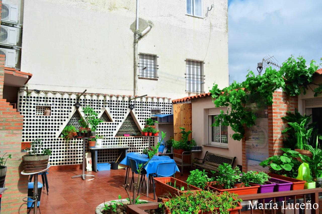 Comfortable Apartment In Caceres 55 M² Welcoming Terrace Zewnętrze zdjęcie