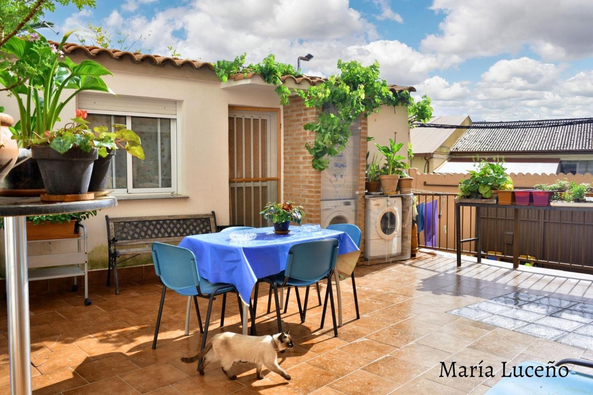 Comfortable Apartment In Caceres 55 M² Welcoming Terrace Zewnętrze zdjęcie